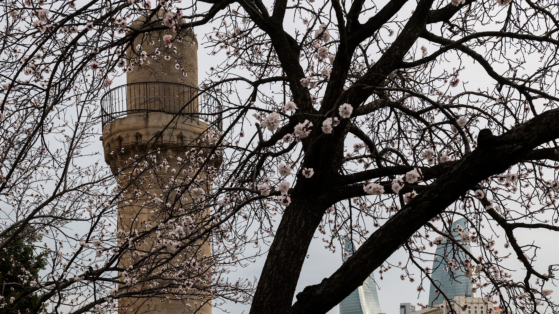 Весенний Ичеришехер: бело-розовые дни